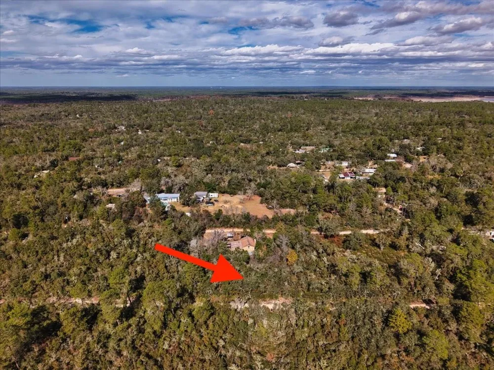 NE 233RD LANE Fort Mc Coy, FL 32134
