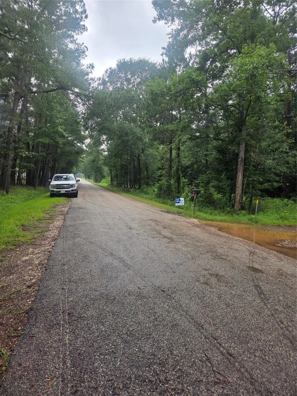 Magnolia Ln Splendora, TX 77372