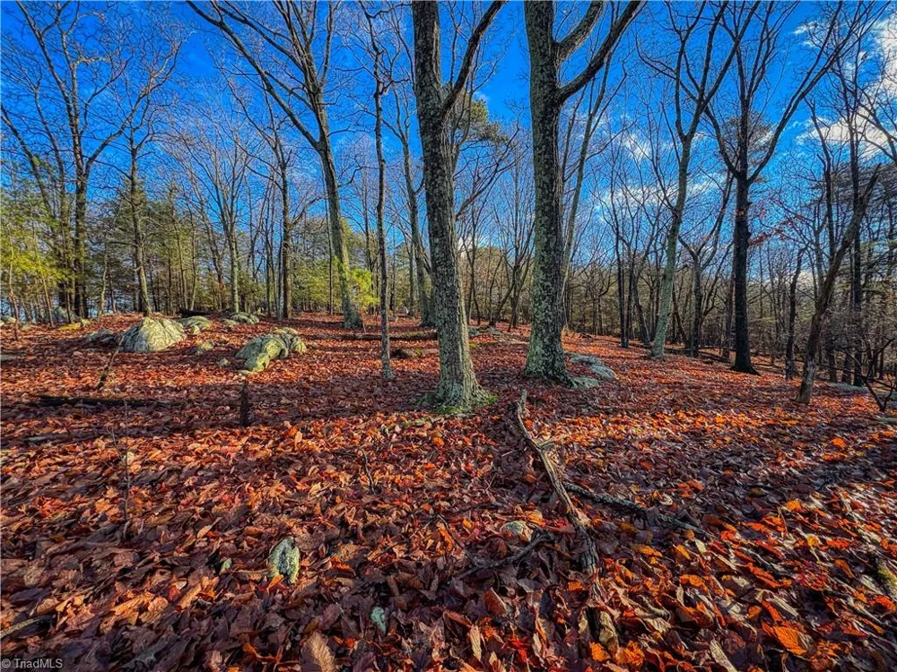 338 Sierra Trace Road Denton, NC 27239