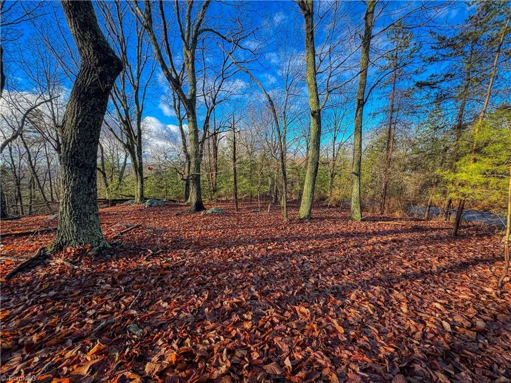 338 Sierra Trace Road Denton, NC 27239