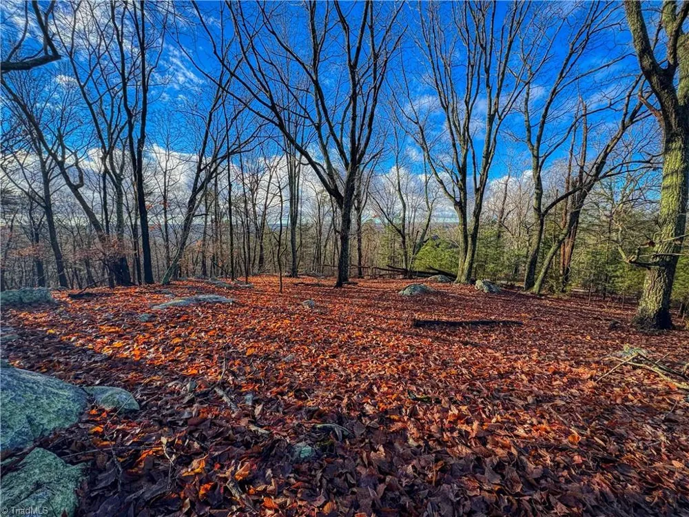 338 Sierra Trace Road Denton, NC 27239