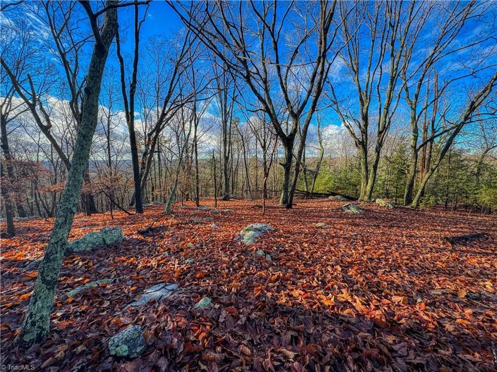 338 Sierra Trace Road Denton, NC 27239