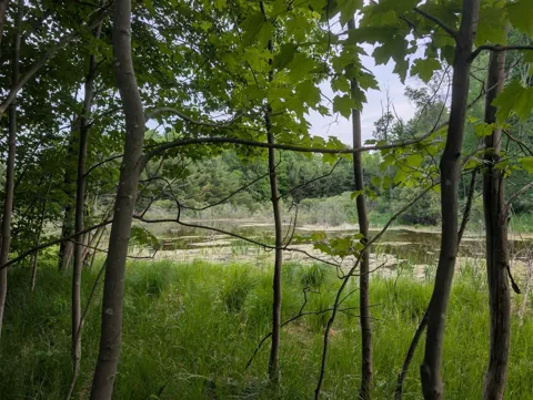 20047 Davis Lake Road