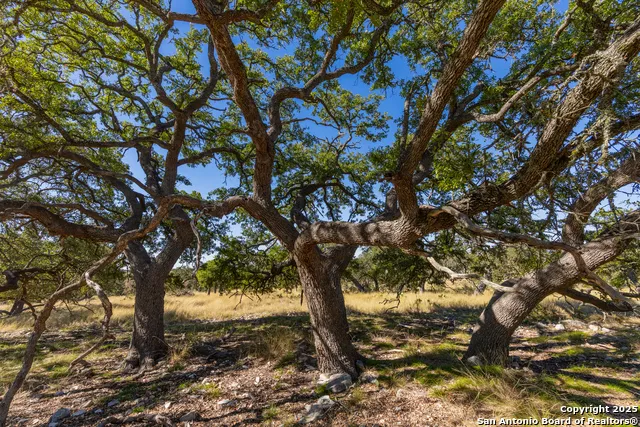 000 Cattlemans Crossing Dr Kerrville, TX 78028