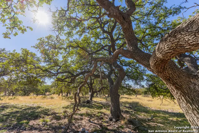 000 Cattlemans Crossing Dr Kerrville, TX 78028