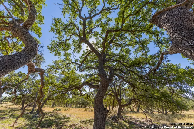 000 Cattlemans Crossing Dr Kerrville, TX 78028