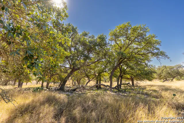 000 Cattlemans Crossing Dr Kerrville, TX 78028