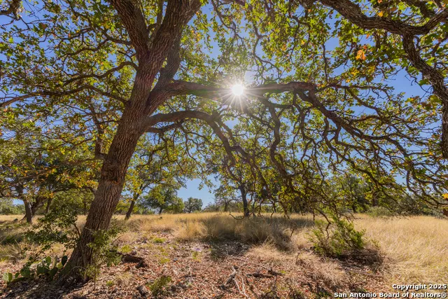 000 Cattlemans Crossing Dr Kerrville, TX 78028