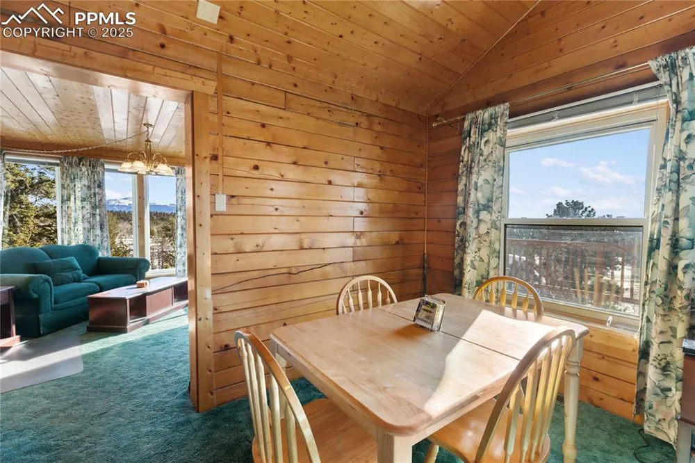 730 Cheyenne Creek Drive Lake George, CO 80827