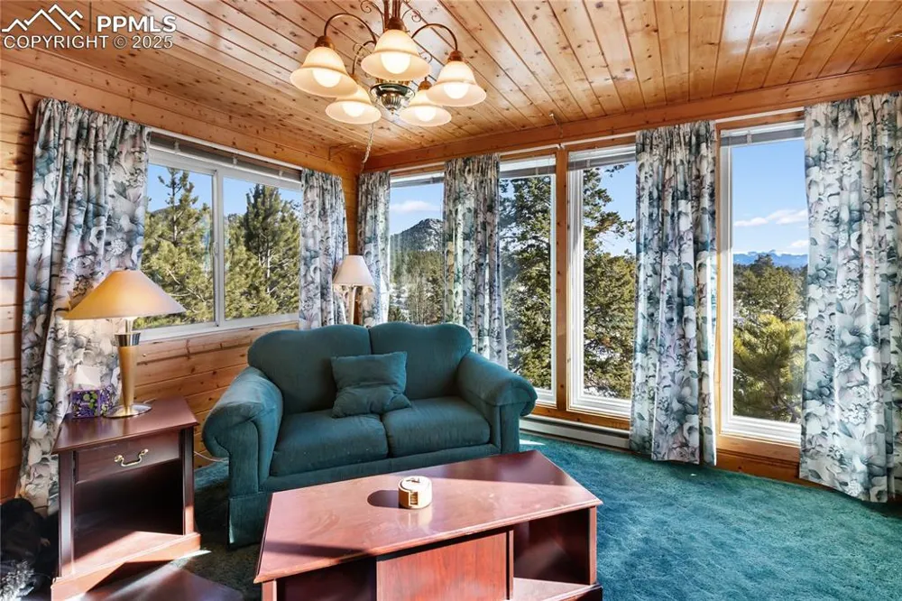 730 Cheyenne Creek Drive Lake George, CO 80827