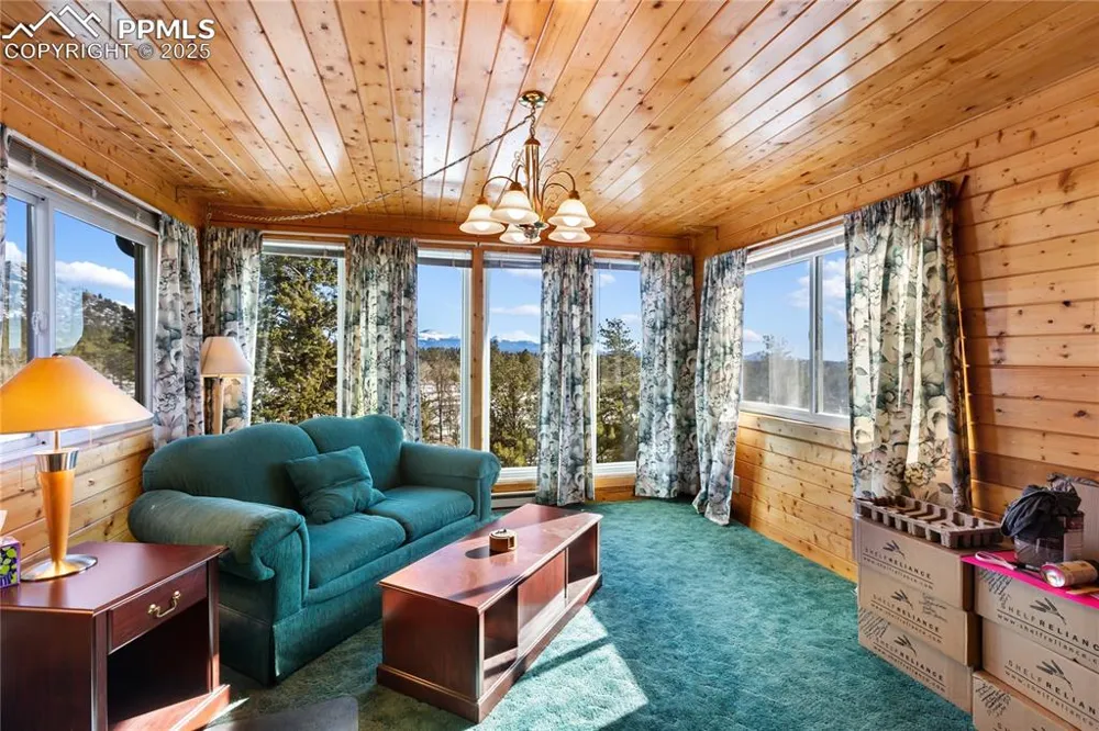 730 Cheyenne Creek Drive Lake George, CO 80827