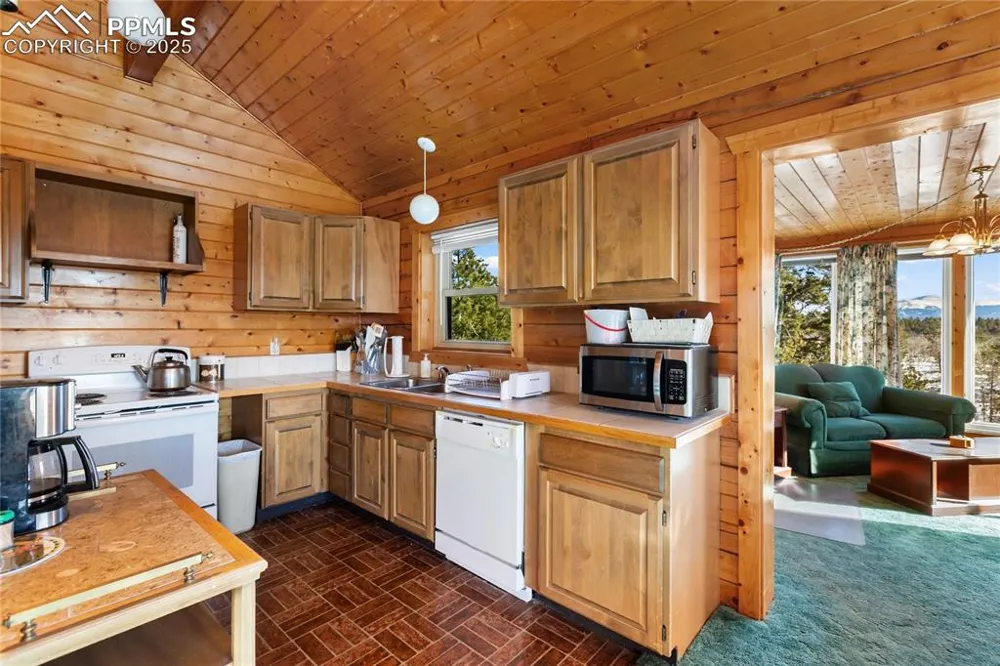 730 Cheyenne Creek Drive Lake George, CO 80827