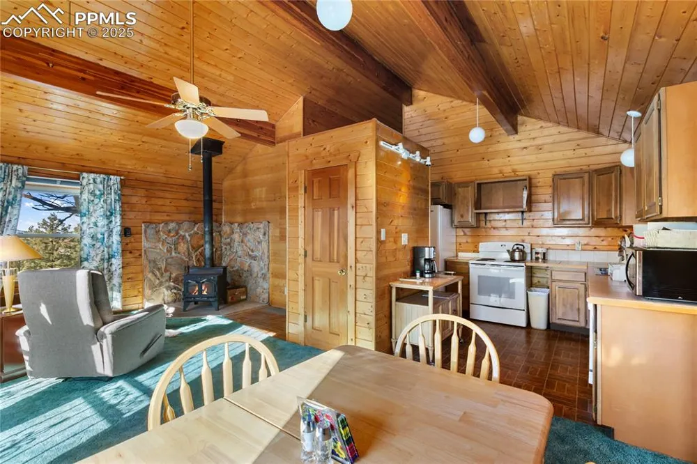 730 Cheyenne Creek Drive Lake George, CO 80827