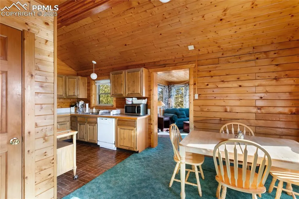 730 Cheyenne Creek Drive Lake George, CO 80827