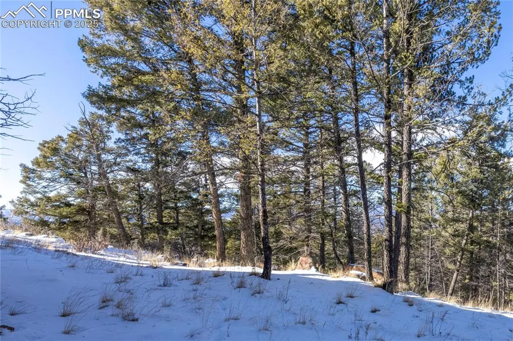 730 Cheyenne Creek Drive Lake George, CO 80827
