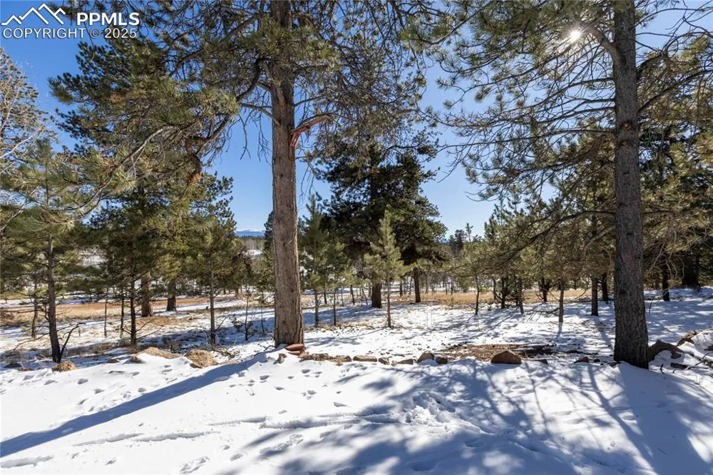 730 Cheyenne Creek Drive Lake George, CO 80827