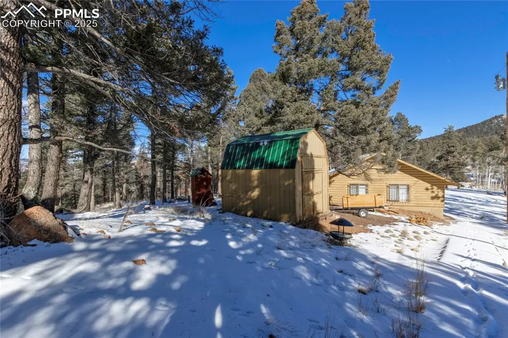 730 Cheyenne Creek Drive Lake George, CO 80827