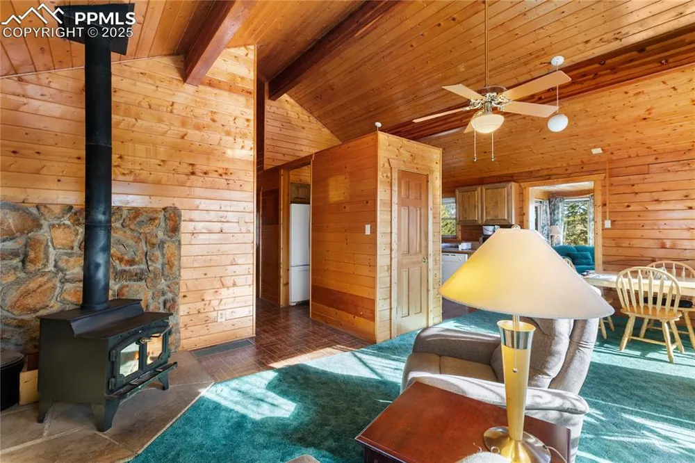 730 Cheyenne Creek Drive Lake George, CO 80827