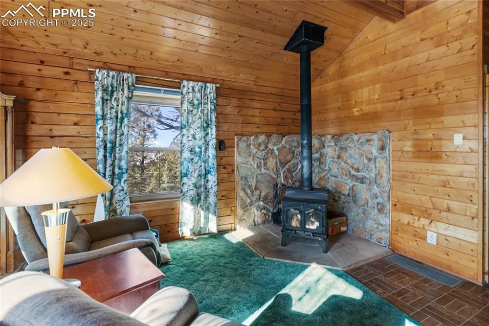 730 Cheyenne Creek Drive Lake George, CO 80827