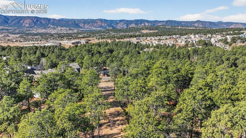 1380 Buckwood Lane Monument, CO 80132