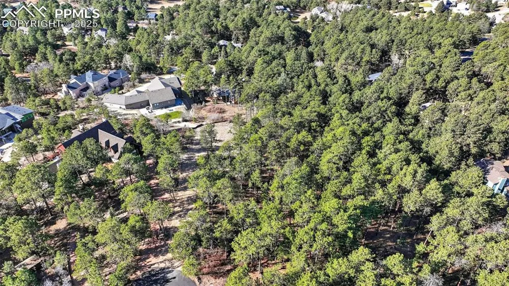 1380 Buckwood Lane Monument, CO 80132