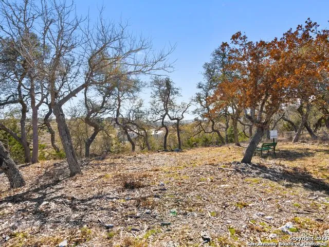 LOT 116 Majestic Hills Blanco, TX 78606
