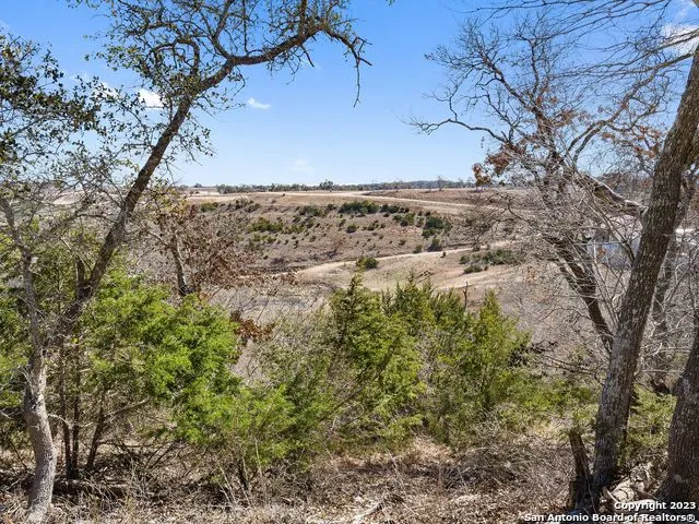 LOT 116 Majestic Hills Blanco, TX 78606