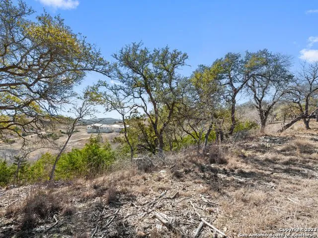 LOT 116 Majestic Hills Blanco, TX 78606