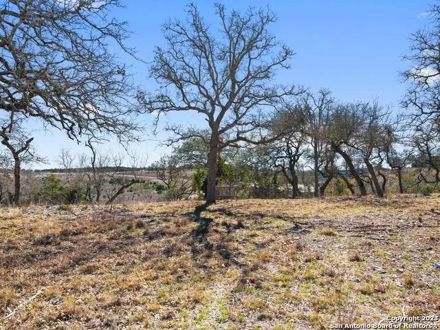 LOT 116 Majestic Hills Blanco, TX 78606