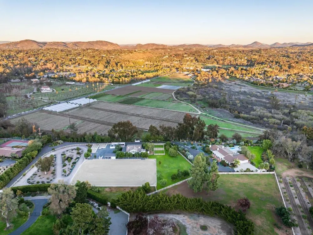 16039 Via Del Alba Rancho Santa Fe, CA 92067