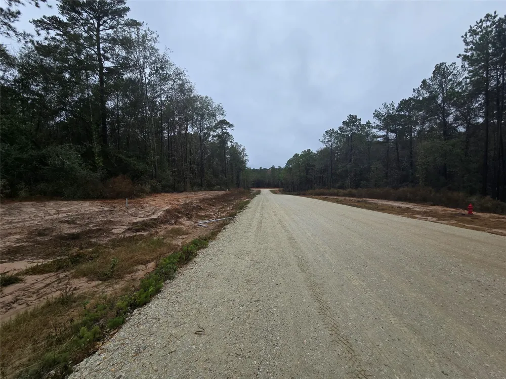 142 Splendid Road New Waverly, TX 77358