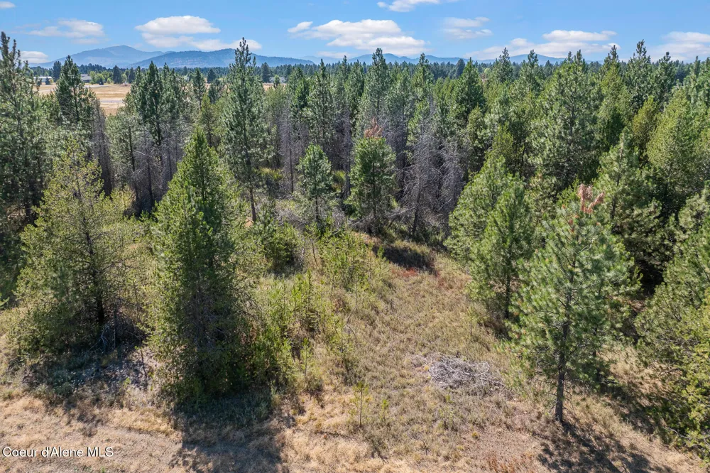 Lot 18 Asulkan Street Athol, ID 83801