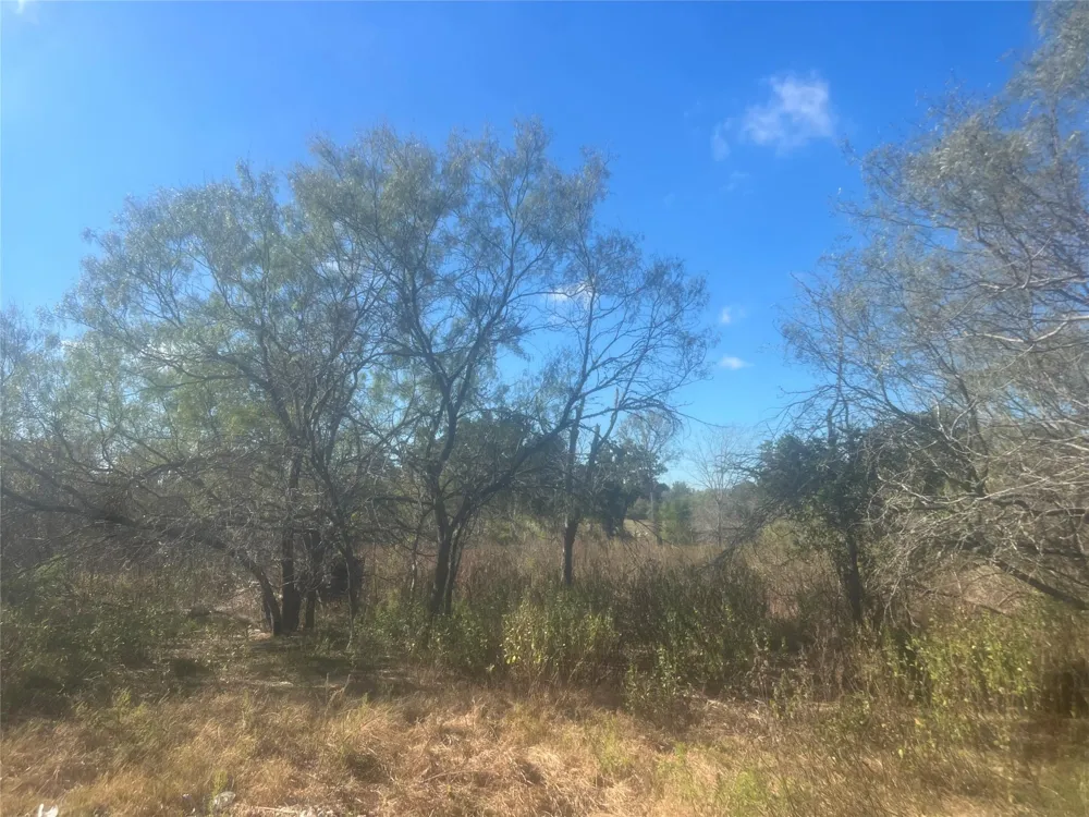 23933 Sagewood Lane Bedias, TX 77831