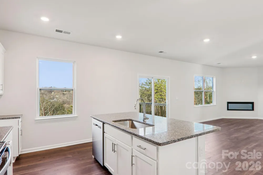 823 Adelston Lane Asheville, NC 28804