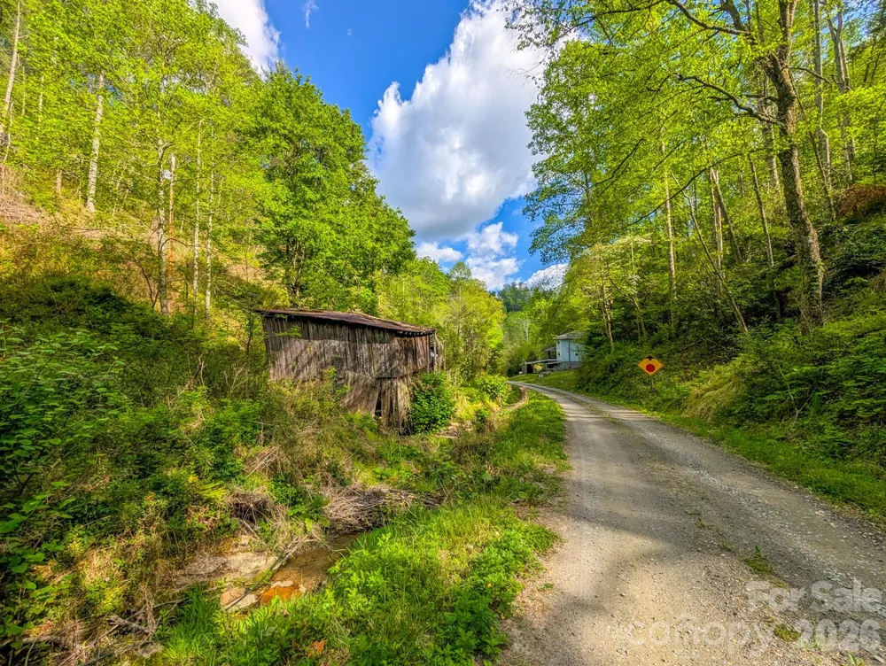 77 Griffith Branch Road Green Mountain, NC 28740