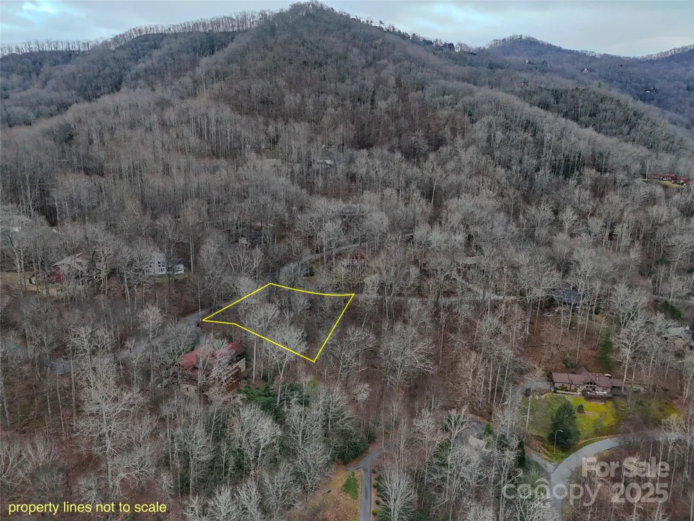 TBD Hornets Nest Road Maggie Valley, NC 28751