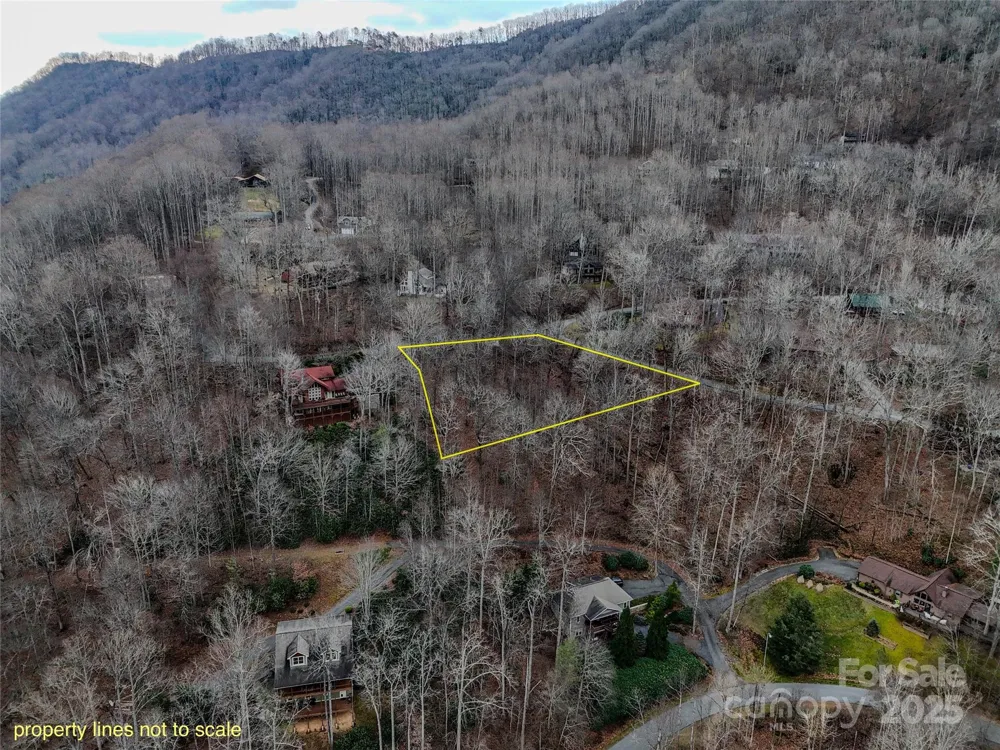 TBD Hornets Nest Road Maggie Valley, NC 28751