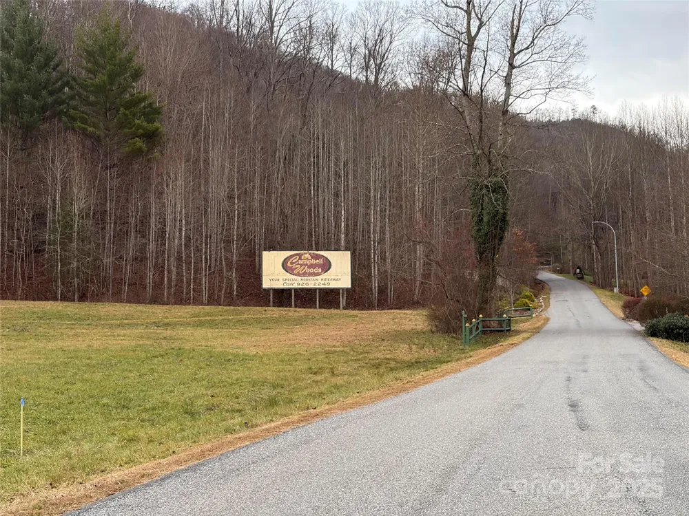 TBD Hornets Nest Road Maggie Valley, NC 28751