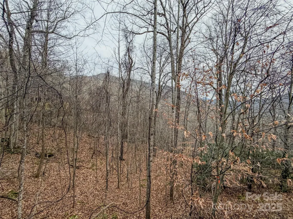 TBD Hornets Nest Road Maggie Valley, NC 28751