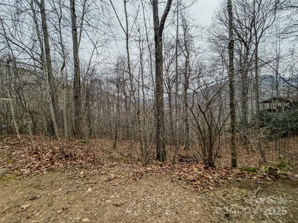 TBD Hornets Nest Road Maggie Valley, NC 28751