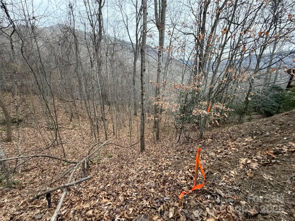 TBD Hornets Nest Road Maggie Valley, NC 28751