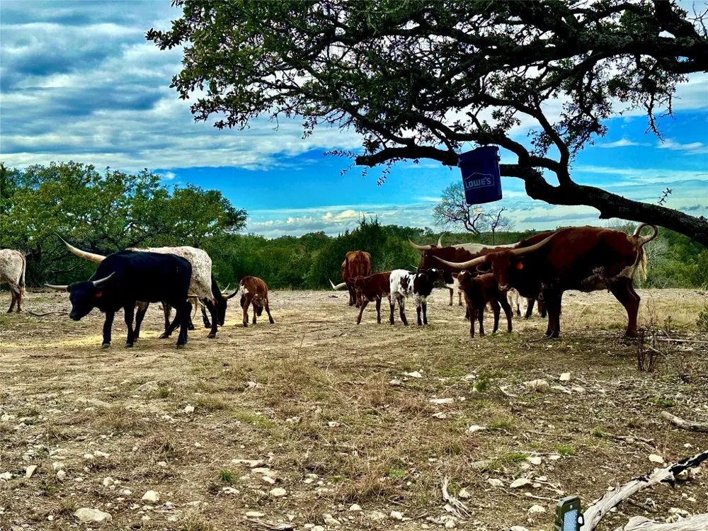 1200 Lipan Apache Run Blanco, TX 78606