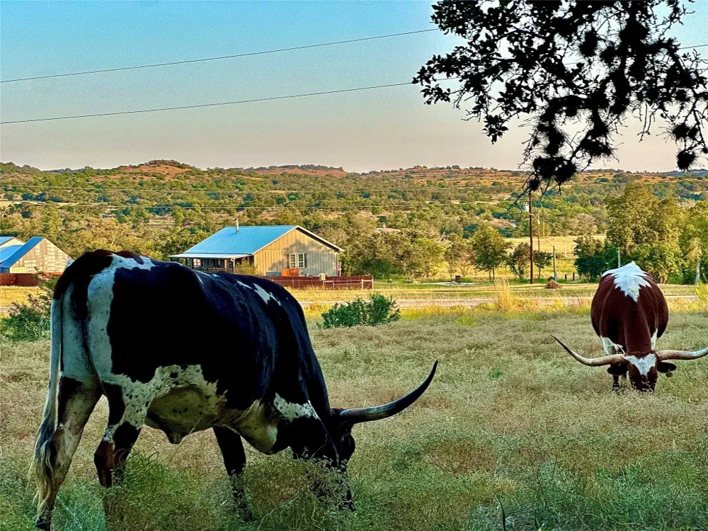 1200 Lipan Apache Run Blanco, TX 78606