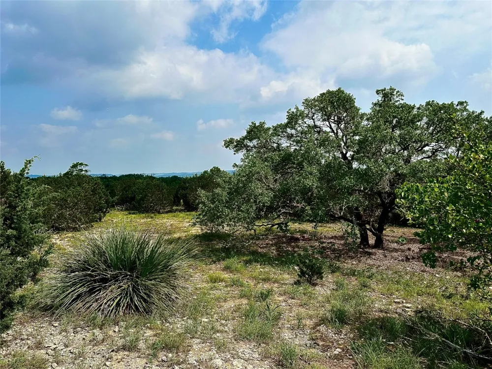 1200 Lipan Apache Run Blanco, TX 78606