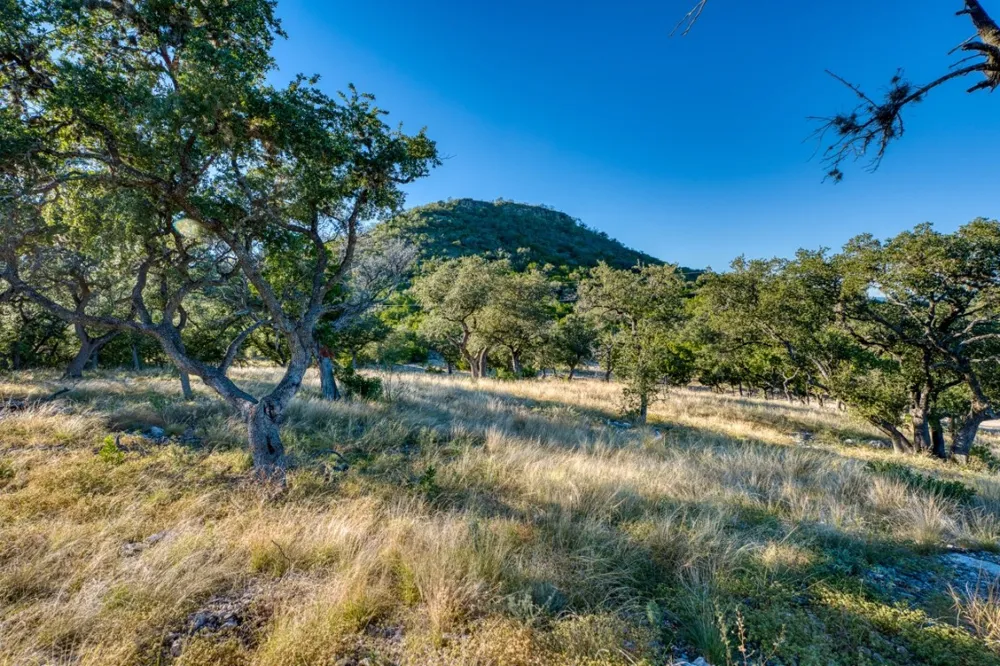 32901 Texas Hwy 55 Uvalde, TX 78801