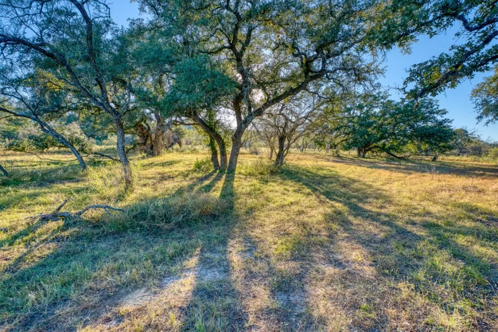 32901 Texas Hwy 55 Uvalde, TX 78801