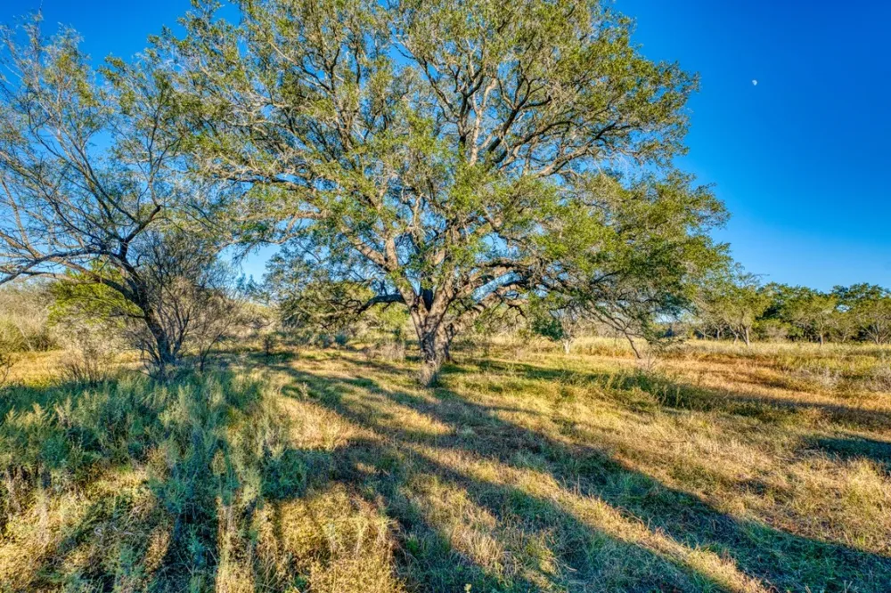 32901 Texas Hwy 55 Uvalde, TX 78801