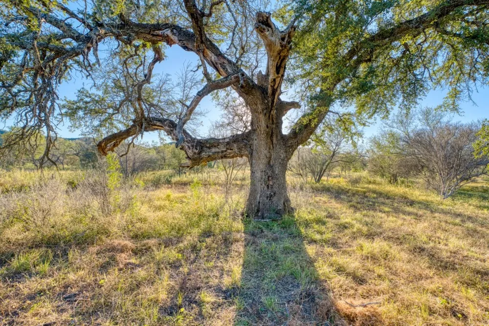 32901 Texas Hwy 55 Uvalde, TX 78801
