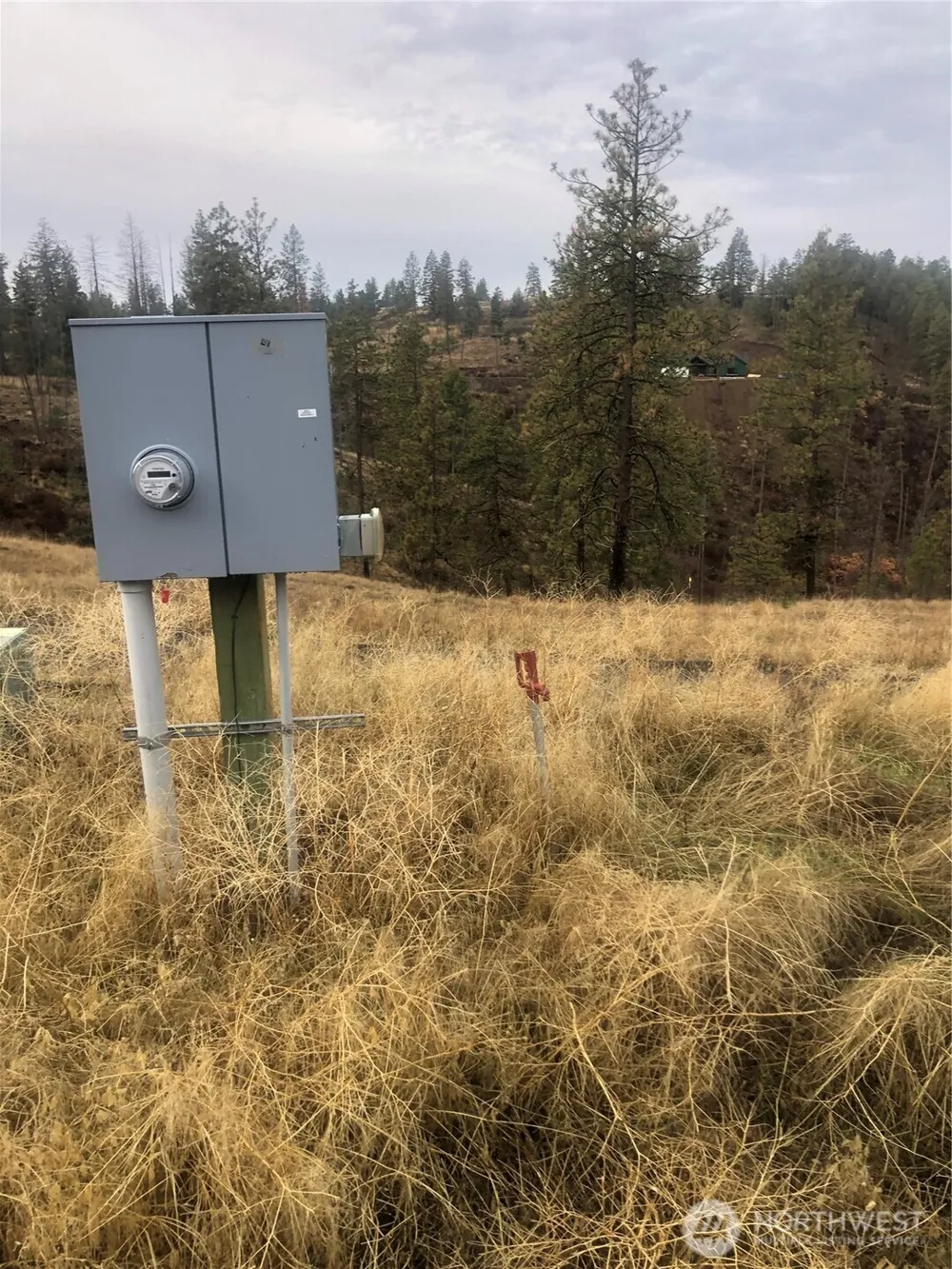30991 Pine Hen Lane E Davenport, WA 99122