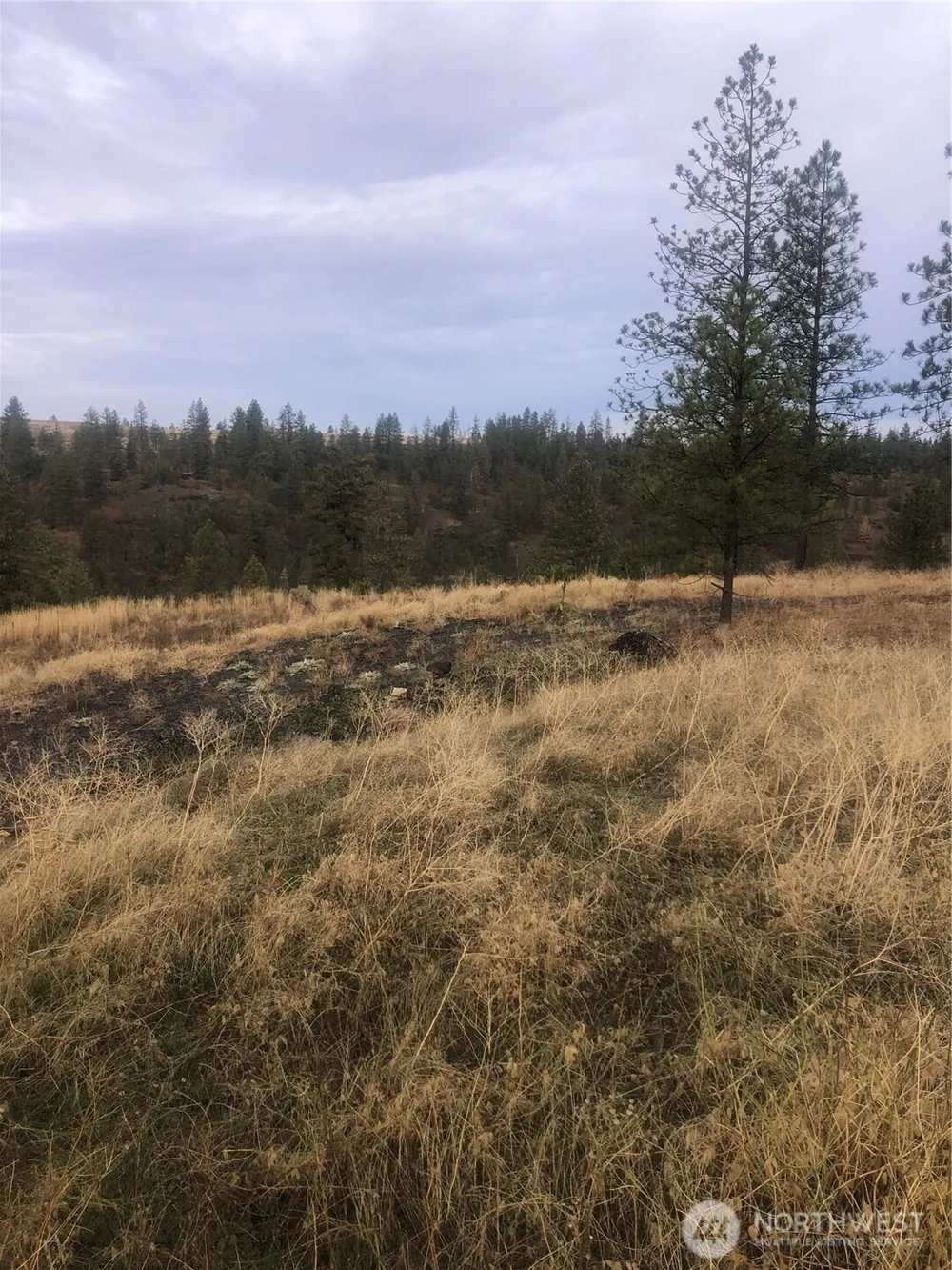 30991 Pine Hen Lane E Davenport, WA 99122